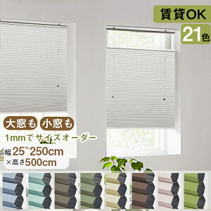 yԌ聚120%OFFN[|+P6{zKeeGo  J[e njJVF[h njJXN[ I[_[ Ռ1 v[cXN[ ㉺J  ۉ  J[e[Ɏt Ռ 