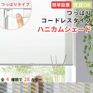 yr[T17%OFFN[|P7{znjJVF[h ς njJXN[ njJJ[e R[hX Jsv uCh v[cXN[ ̌ ݉\ dԐ؂ 