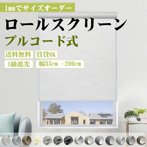 yr[T10OFFN[|3܂ŁzKeeGo [XN[ [J[e R[hX1Ռ I[_[ vR[h J[e[t OK UVJbg ՔM fM 35~200cm50~20