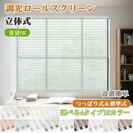 【マラソン期間★先着6名様！25％OFFクーポン＆P7倍】KEEGO つっぱり 調光ロールスクリーン 立体式 ロールカーテン 穴あけ不要 賃貸 カーテンレール取付可 サイズオーダー 取付簡単 幅30～230cm高さ300cm 遮光 UVカット 無地 レース 目隠し 小窓 おしゃれ 19色