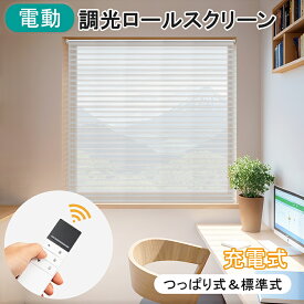 【マラソン期間★18％OFFクーポン2回まで利用可能】KeeGo 調光ロールスクリーン 電動式 電動スクリーン 立体式 つっぱり コードレス式 1級遮光 穴あけ不要 USB 充電式 オーダーメイド カーテンレール取付可 取付簡単 UVカット 無地 レース 目隠し 小窓 19色
