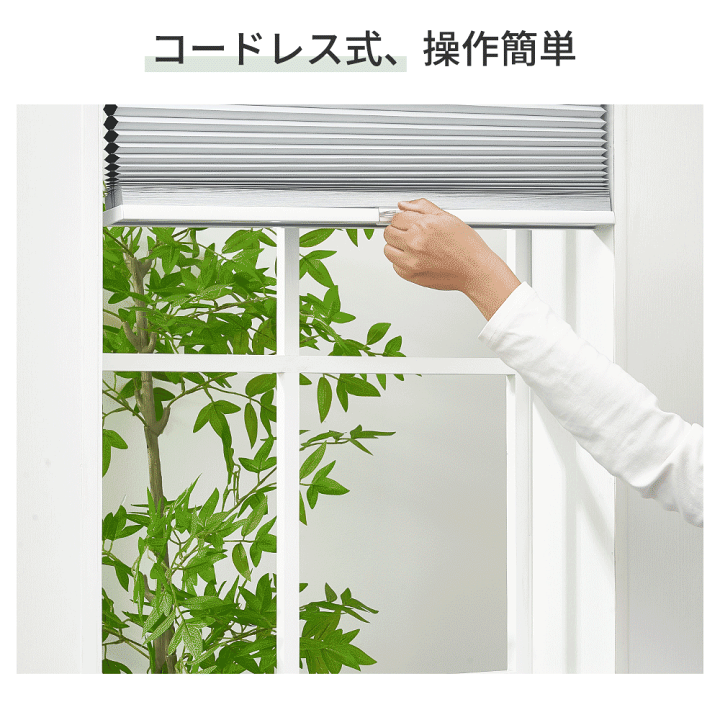 楽天市場】＼11%OFFクーポン＆P6倍／KeeGo ハニカムシェード ハニカム