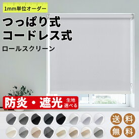 ＼12％OFFクーポン3回まで利用可能&P6倍／【レビュー特典】KeeGo ロールスクリーン ロールカーテン つっぱりタイプ チェーン式 コードレスタイプ 穴あけ不要 賃貸OK カーテンレール取付 オーダー 遮光 防炎 採光 撥水 断熱 幅30～200cm 高さ50～300cm
