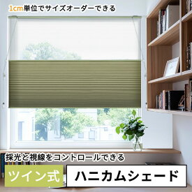 【マラソン先着6様★25％OFFクーポン＆P7倍】KEEGO ツイン ハニカムシェード 簡単設置遮光 ハニカムスクリーン プリーツスクリーン 穴開け カーテンレールに取り付け ブラインド 賃貸 サイズオーダー 洋室 和室 省エネ 暑さ対策 1年保証 採光 無地 UVカット 防水 遮熱 断熱