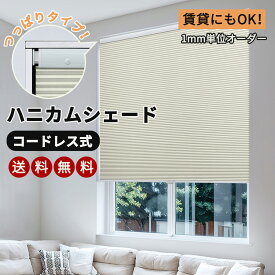 ＼マラソン期間★1台で18％OFFクーポン＆P7倍／【レビュー特典】 KeeGo ハニカムシェード ハニカムスクリーン つっぱりタイプ チェーン式 コードレス式 上下開閉式 穴あけ不要 賃貸OK オーダー 遮光 採光 断熱 幅40～155cm 高さ0～180cm