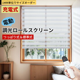 【18%OFFクーポン】KeeGo 電動 ロールスクリーン 調光 ロールスクリーン 電動式 つっぱり コードレス式 ロールカーテン 1級遮光 穴あけ不要 USB充電式 オーダー カーテンレール取付 賃貸OK 遮光 遮熱 無地 採光 目隠し 防寒対策 取付簡単 幅50～180高さ50～200cm