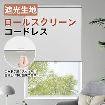 楽天市場】ロールカーテン 高さ 250の通販