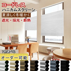 �y�撅8�l��25%OFF�N�[�|��+P6�{�z KeeGo �n�j�J���V�F�[�h �R�[�h���X �n�j�J���X�N���[�� �㉺�J�� �Ռ��u���C���h �J�[�e�����[���Ɏ��t�� 1mm�I�[�_�[�\ ��40~170cmX����180cm �Ռ� �a�� 