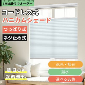 ＼22％OFFクーポン＆P7倍／KeeGo ハニカムシェード コードレス つっぱり ネジ止め式 ハニカムスクリーン 突っ張り 上下開閉 遮光 遮光ブラインド 断熱 断熱スクリーン 採光 撥水 1mm単位オーダー 賃貸OK 洋室 和室 小窓 西日対策 寒さ対策 保温 幅35-200cm 高さ200cm