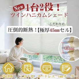 【新発売！26%OFFクーポン+P7倍】KEEGO ツインハニカムシェード つっぱり コードレス 簡単設置 穴開け不要 ネジ止め式 カーテンレール取付 採光 遮光 45mm ハニカムスクリーン プリーツスクリーン ブラインド 賃貸OK サイズオーダー 省エネ 暑さ対策 UVカット 遮熱 断熱
