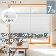 ＼SNSで話題／【レビュー特典★1台で18%OFFクーポン+P6倍】KeeGo ツイン ハニカムシェード つっぱり コー…