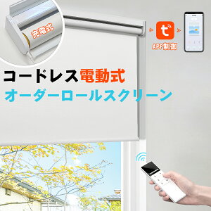 y}\撅8l25%OFFN[|+P7{zKeeGo [XN[ d R UVJbg R[hX [d [J[e USB[d ډB OK fM Ռ ՔM 1mmI[_[ tȒP 