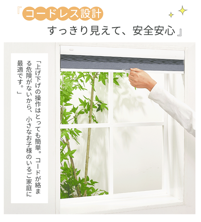 楽天市場】＼SS先着25%OFFクーポン+P5倍／【抽選最大100%Pバック