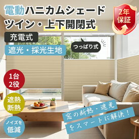＼新発売★つっぱり 電動式／【30％OFFクーポン+P6倍】KEEGO 電動 ツイン ハニカムシェード つっぱり 上下開閉 電動式 ロールスクリーン コードレス 充電式 USB リモコン RF仕様 遮光 1mmサイズオーダー 洋室 和室 省エネ 暑さ対策 採光 断熱 幅102~200*高さ~200cm 2年保証