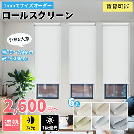 【マラソン期間★先着6様25%OFFクーポン+P7倍】KeeGo ロールスクリーン ロールカーテン 遮光 1級 小窓 スリット窓 230cm 採光 ネジ止めタイプ 穴あけ不要 賃貸OK 1mm単位サイズオーダー UVカット カーテンレールに取付 断熱 遮熱 幅30~250丈~300cm 2年保証