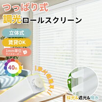 楽天市場】調光ロールスクリーンの通販
