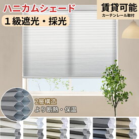 【マラソン期間★1台で18%OFFクーポン+P7倍】 2層構造 KeeGo ハニカムシェード ダブル ハニカムスクリーン 暑さ対策 1級遮光 プリーツスクリーン カーテンレール取付 賃貸OK 1mmオーダー 西日対策 幅36～180*高さ500cm 遮熱 断熱 和室 冷暖房効率UP 2年保証