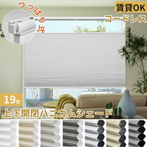 _T120%OFFN[|+P6{^ y]r[4.71zKeeGo njJVF[h ς Ռ ˂ njJXN[ ㉺J R[hX Jsv ՌuCh 1mmTCY