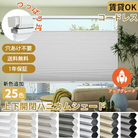 【マラソン期間★1台で18%OFFクーポン+P6倍】KeeGo ハニカムシェード つっぱり 遮光 突っ張り ハニカムスクリーン 上下開閉式 コードレス 穴開け不要 遮光ブラインド プリーツスクリーン 賃貸ok オーダー 断熱スクリーン 取付簡単 採光 洋室 和室 西日対策