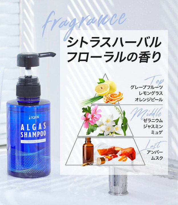 楽天市場】【3/11 1:59まで！10％OFF＆ポイント10倍】アルガス 