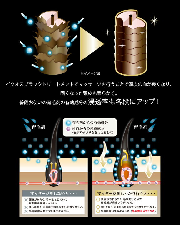 楽天市場】公式 イクオス ブラック シャンプー & トリートメント 