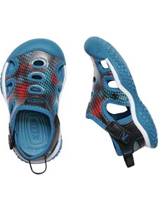 (KIDS)STINGRAY / (�L�b�Y)�X�e�B���O���C KEEN �L�[�� �V���[�Y�E�C �X���b�|�� �u���b�N�y���������z[Rakuten Fashion]