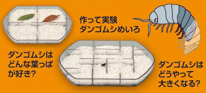 楽天市場 ダンゴムシのヒミツ観察キットアーテック 実験キット 理科 実験セット 科学シリーズ 科学 自由研究 教材 キープオン学習イベントショップ 楽天市場 ダンゴムシのヒミツ観察キットアーテック 実験キット 理科 実験セット 科学シリーズ 科学 自由研究 教材 キープオン学習イベントショップ
