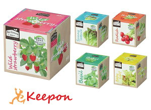 GR͔|Lbg Re:Green n(O[) 5ނIA[ebN  Lbg ͔|Lbg   ƒ͔|  y ChXgx[ Tj[^X fBbV xr[[t oW