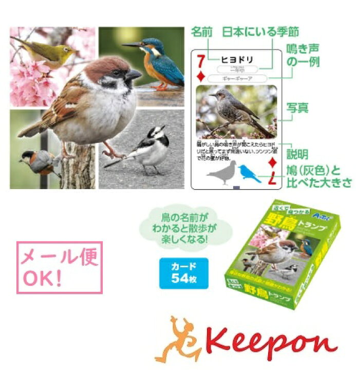 楽天市場 近くで見つかる野鳥トランプ 11個までメール便可能 アーテック トランプ 鳥 名前 特長 知育玩具 小学生 キープオン学習イベントショップ