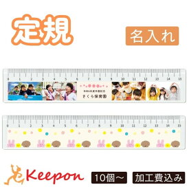 【10個から注文可能】定規 加工費込(メール便可) 卒業 入学式 入園 記念品 プレゼント ギフト 写真 A4 名入れ アーテック ペット 犬 猫 作成 卒園 幼稚園 保育園 小学校 部活 文房具