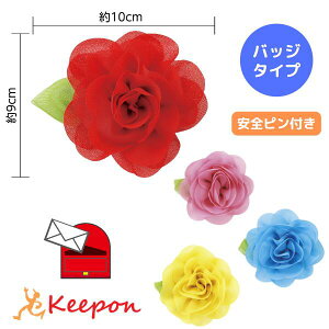 RT[WobW 3F炨Iт(20܂Ń[։)  w  LOi Ǝ wZ  u[` S A[ebN