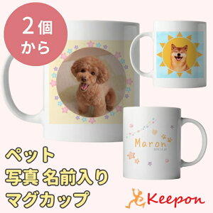 y2璍\zʐ^ }OJbv ybg O H v[g ʐ^ I[_[ ybg  L