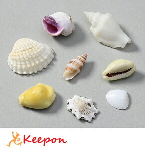 ~bNXVF10g ܓA[ebN Lk L ANZT[ Ntg nhCh f