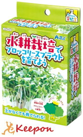 水耕栽培でブロッコリースプラウトを育てようアーテック 夏休み自由研究 手作り キット 男の子 女の子 てのひら実験室 栽培キット 野菜 家 自宅