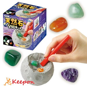 VRΔ@LbgA[ebN ċxݍH ~x ̎q j̎q Ntg nhCh [NVbv w