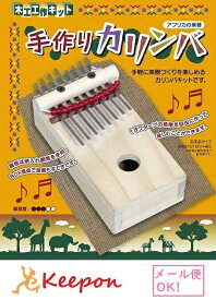 楽天市場 手作り 楽器 キットの通販
