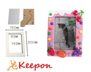 SytHgt[p/H/Ntg/Sy/ċxݍHLbg/̎q/j̎q/R