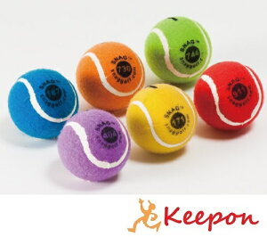 XibOSt {[6pbN { qǂl܂ŃSt X|[c qp lp