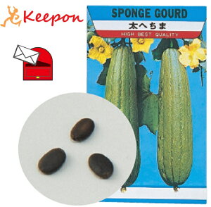 ؂̎ w`} 10 (lR|X) A[ebN ƒ؉ ͔| ւ ƒ͔|