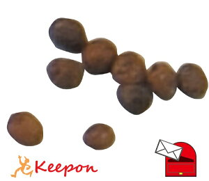 ؂̎ CQ 10 (lR|X) A[ebN ƒ؉ ͔| ƒ͔|