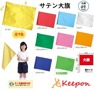 フラッグ 無地 スポーツの人気商品 通販 価格比較 価格 Com