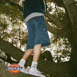 �y30%OFF�Z�[���zDickies Extended by GORO NAKATSUGAWA(MIN-NANO) �f�B�b�L�[�Y 42283 13INCH MULTI-USE POCKET WORK SHORT MN 13�C���` �}���`���[�Y�|�P�b�g ���[�N�V���[�cMN 81184300 �V���[�c �V���[�g�p���c �`�m�V��