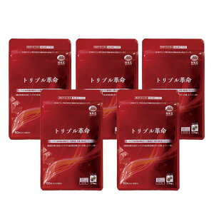 gvv (1 * 5܃Zbg) ܂Ƃߔ 5%OFF | @\ @\\Hi GmL^P GmL^PRb_ m[_ [m_ LgOJ LgT LmRLgT PtBA