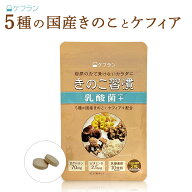【きのこの有効成分をぎゅっと】きのこ習慣 乳酸菌+(1ヶ月分) ケフラン ｜ 日本ケフィア タモギダケ しい…