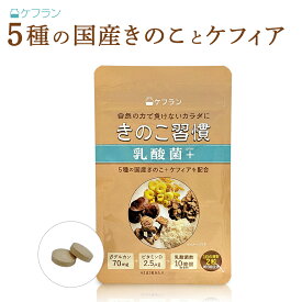 きのこ習慣 乳酸菌+(1ヶ月分) ケフラン ｜ 日本ケフィア タモギダケ しいたけ アガリクス まいたけ マイタケ ケフィア 乳酸菌 ベータグルカン βグルカン しいたけ菌糸体