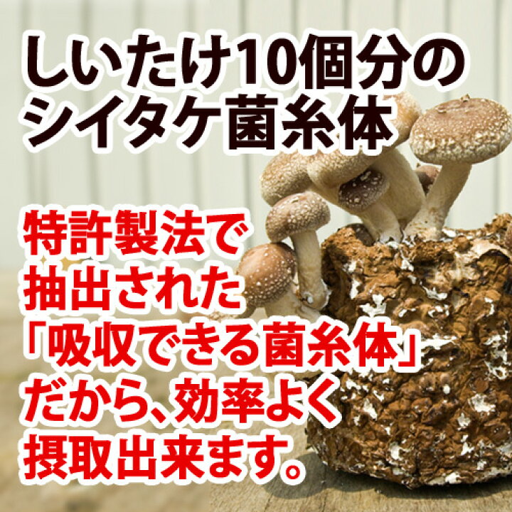 楽天市場 しいたけ菌糸体 アガリクス きのこ習慣 1ヶ月分 まいたけ マイタケ 舞茸 ヤマブシタケ タモギダケ Mxフラクション Mdフラクション ベータグルカン Bグルカン ヘリセノン 国産 日本 菌糸体 健康食品 サプリメント サプリ 予防 きのこ キノコ 錠剤 人気 健康