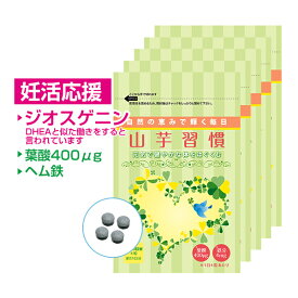 妊活 応援 サプリ 山芋習慣 まとめ買い 8%OFF 5袋セット| 葉酸サプリ 葉酸 妊娠前 ヘム鉄 鉄 乳酸菌 DHEA ジオスゲニン 山芋 アミノ酸 含流アミノ酸 酵母 基礎体温 赤ちゃん エイジングケア シスチン