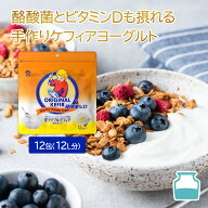 牛乳や豆乳に入れるだけ 手作りケフィアヨーグルト 種菌 オリジナルケフィア酪酸菌V.D12包入 | 乳酸菌 善…