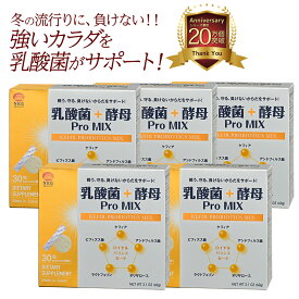ビタミンD 乳酸菌 ラクトフェリン 乳酸菌＋酵母 ProMIX（5ヶ月分）まとめ買い 8%OFF | ケフィア 酪酸菌 サプリメント ビフィズス菌 健康食品 食物繊維 サプリ 腸活 プロバイオティクス 善玉菌 国内製造