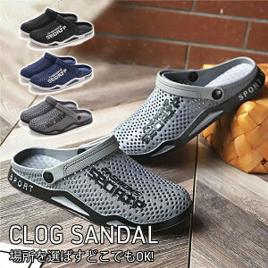 T_ p ₷  lC IV ėp JWA AEghA 傫TCY L ʋC y jp  V[Y Y fB[X r[`T_ X|[c